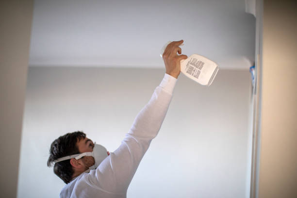 Best Toxic Mold Removal  in Four Bridges, OH
