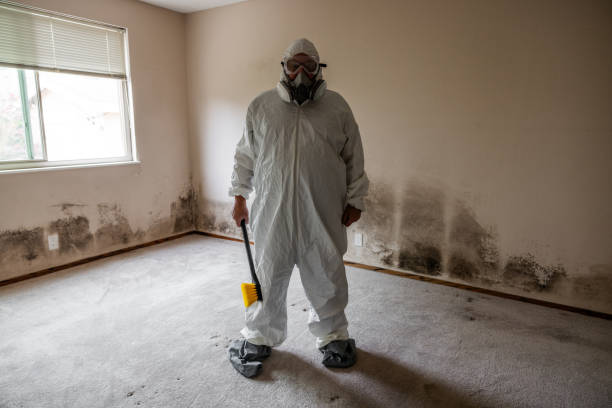 Best Residential Mold Removal  in Four Bridges, OH